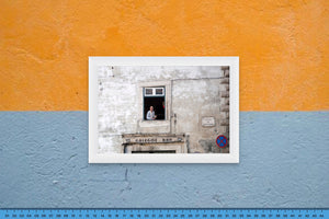 DOPEPICS : 0006 : Framed : Above The Bar