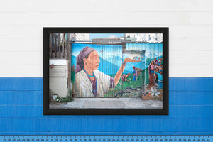 DOPEPICS : 0036 : Framed : Indigenous Fence