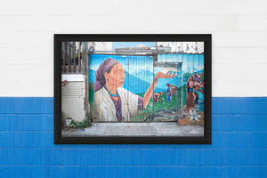 DOPEPICS : 0036 : Framed : Indigenous Fence