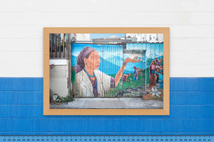 DOPEPICS : 0036 : Framed : Indigenous Fence