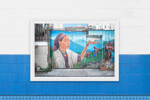 DOPEPICS : 0036 : Framed : Indigenous Fence