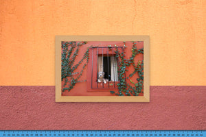 DOPEPICS : 0027 : Framed : Perro en Casa Roja