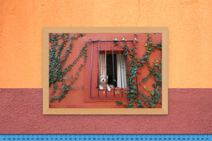 DOPEPICS : 0027 : Framed : Perro en Casa Roja