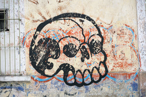 DOPEPICS : 0020 : Framed : Guadalajara Skull