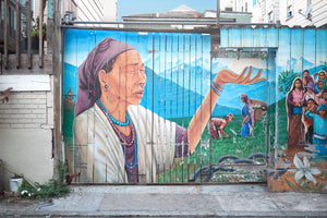 DOPEPICS : 0036 : Framed : Indigenous Fence
